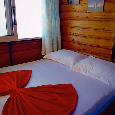 Fjona Σαράντα