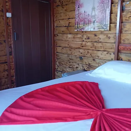 Apartment Fjona Sarande